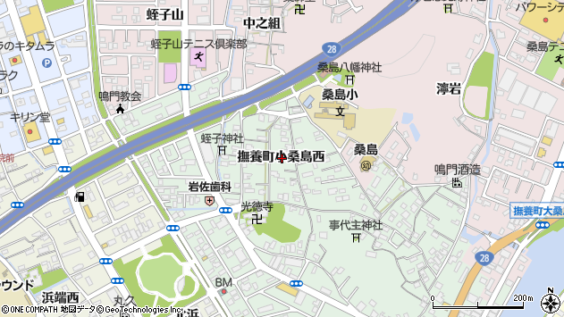 〒772-0012 徳島県鳴門市撫養町小桑島の地図