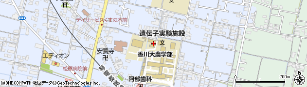 香川大学　希少糖研究センター周辺の地図