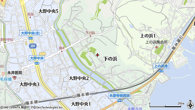 〒739-0433 広島県廿日市市下の浜の地図