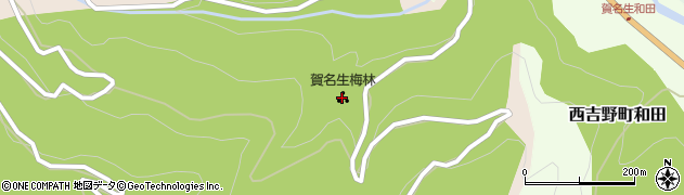 賀名生梅林周辺の地図