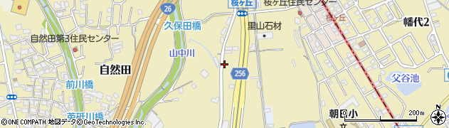 大阪府阪南市自然田213周辺の地図