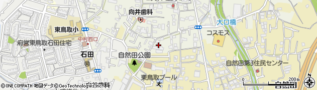 大阪府阪南市鳥取中331周辺の地図