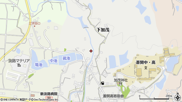 〒656-0013 兵庫県洲本市下加茂の地図
