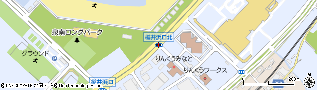 樽井浜口北周辺の地図