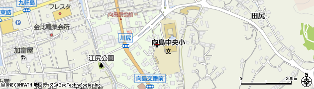 広島県尾道市向島町富浜5982周辺の地図
