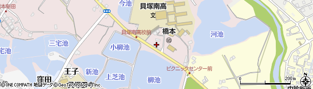 大阪府貝塚市橋本624周辺の地図