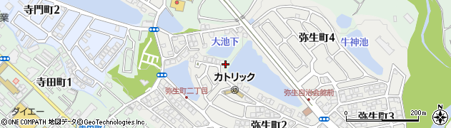 弥生17号公園周辺の地図