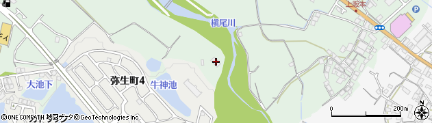 大阪府和泉市東阪本町411周辺の地図