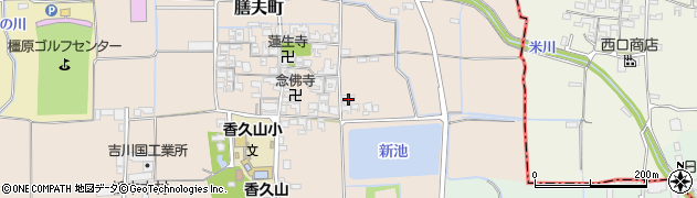 奈良県橿原市膳夫町369周辺の地図