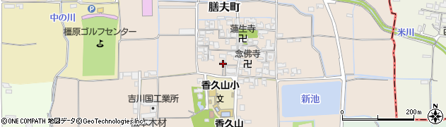 奈良県橿原市膳夫町349周辺の地図