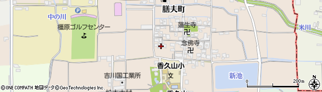 奈良県橿原市膳夫町339周辺の地図