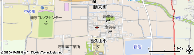 奈良県橿原市膳夫町337周辺の地図