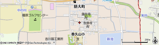 奈良県橿原市膳夫町336周辺の地図