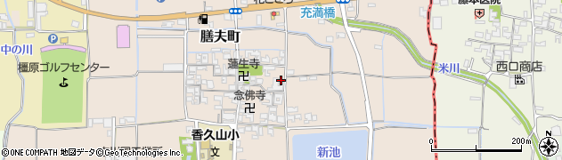 奈良県橿原市膳夫町325周辺の地図