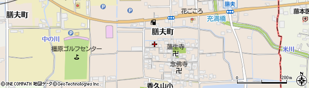 奈良県橿原市膳夫町294周辺の地図