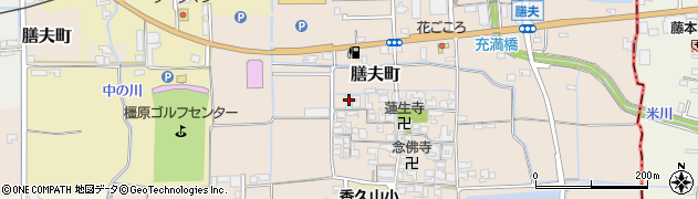 奈良県橿原市膳夫町295周辺の地図