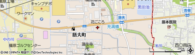 奈良県橿原市膳夫町518周辺の地図