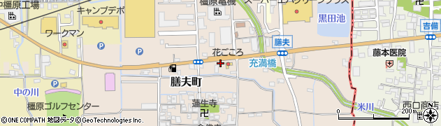 奈良県橿原市膳夫町519周辺の地図