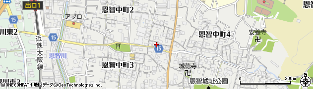 大阪府八尾市恩智中町周辺の地図