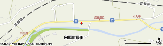 宮田油業株式会社　カーケアセンター　向原店周辺の地図