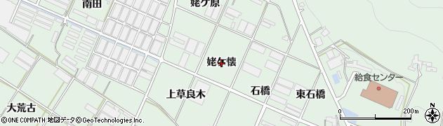 愛知県田原市赤羽根町（姥ケ懐）周辺の地図