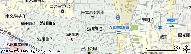 大阪府八尾市渋川町周辺の地図