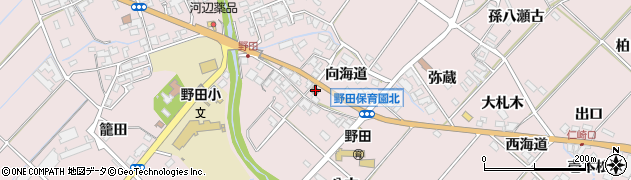愛知県田原市野田町向海道21周辺の地図