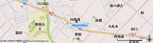 愛知県田原市野田町向海道17周辺の地図