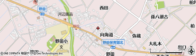 愛知県田原市野田町向海道28周辺の地図