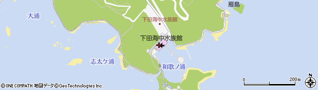 下田海中水族館ドルフィンビーチカウンター周辺の地図