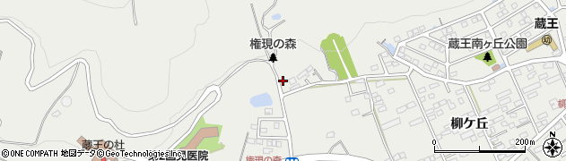 愛知県田原市田原町（蔵王）周辺の地図