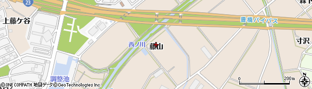 愛知県豊橋市野依町（藤山）周辺の地図