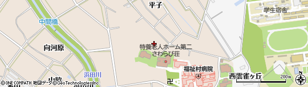 愛知県豊橋市野依町（山中）周辺の地図