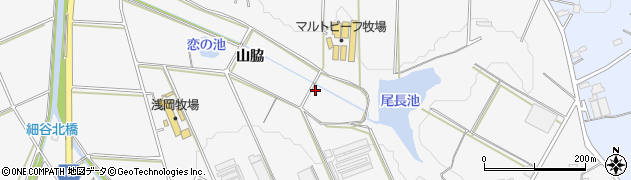 愛知県豊橋市細谷町（山脇）周辺の地図