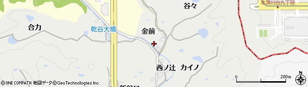 京都府精華町（相楽郡）乾谷（金前）周辺の地図
