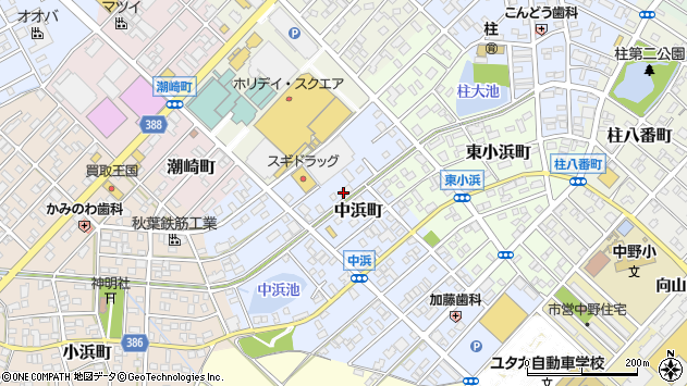 〒441-8065 愛知県豊橋市中浜町の地図
