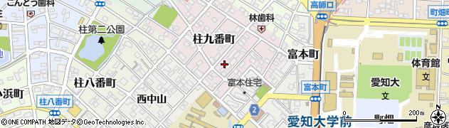 愛知県豊橋市柱九番町37周辺の地図