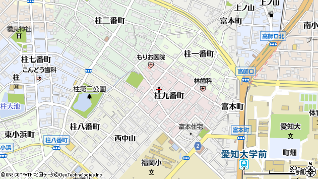 〒441-8055 愛知県豊橋市柱九番町の地図