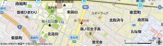 藤ノ花高校前周辺の地図