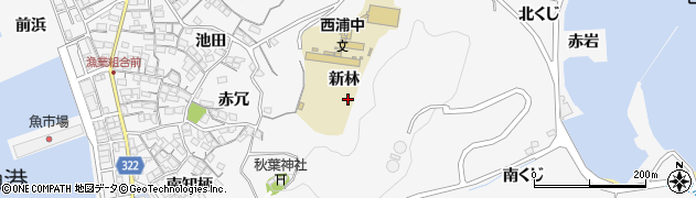 愛知県蒲郡市西浦町（新林）周辺の地図