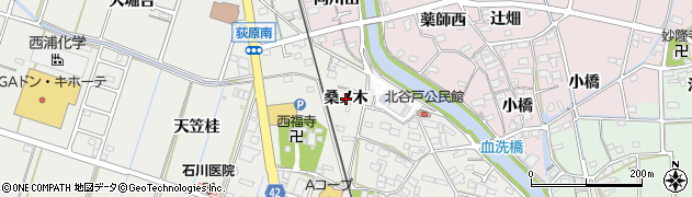 愛知県西尾市吉良町吉田（桑ノ木）周辺の地図
