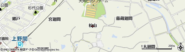 愛知県美浜町（知多郡）上野間（松山）周辺の地図