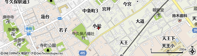 愛知県豊川市中条町小松周辺の地図