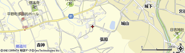 愛知県豊橋市石巻平野町（張原）周辺の地図