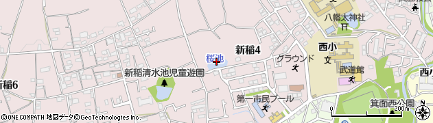桜池周辺の地図