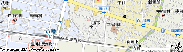 愛知県豊川市野口町道下53周辺の地図