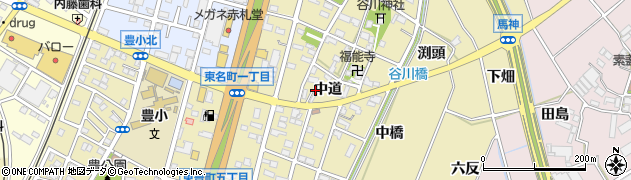 愛知県豊川市谷川町（中道）周辺の地図