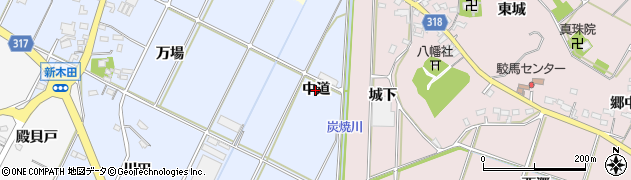 愛知県西尾市吉良町寺嶋（中道）周辺の地図