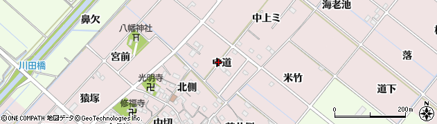 愛知県西尾市針曽根町中道周辺の地図