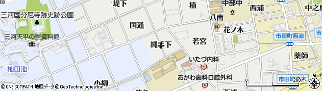 愛知県豊川市野口町（縄手下）周辺の地図